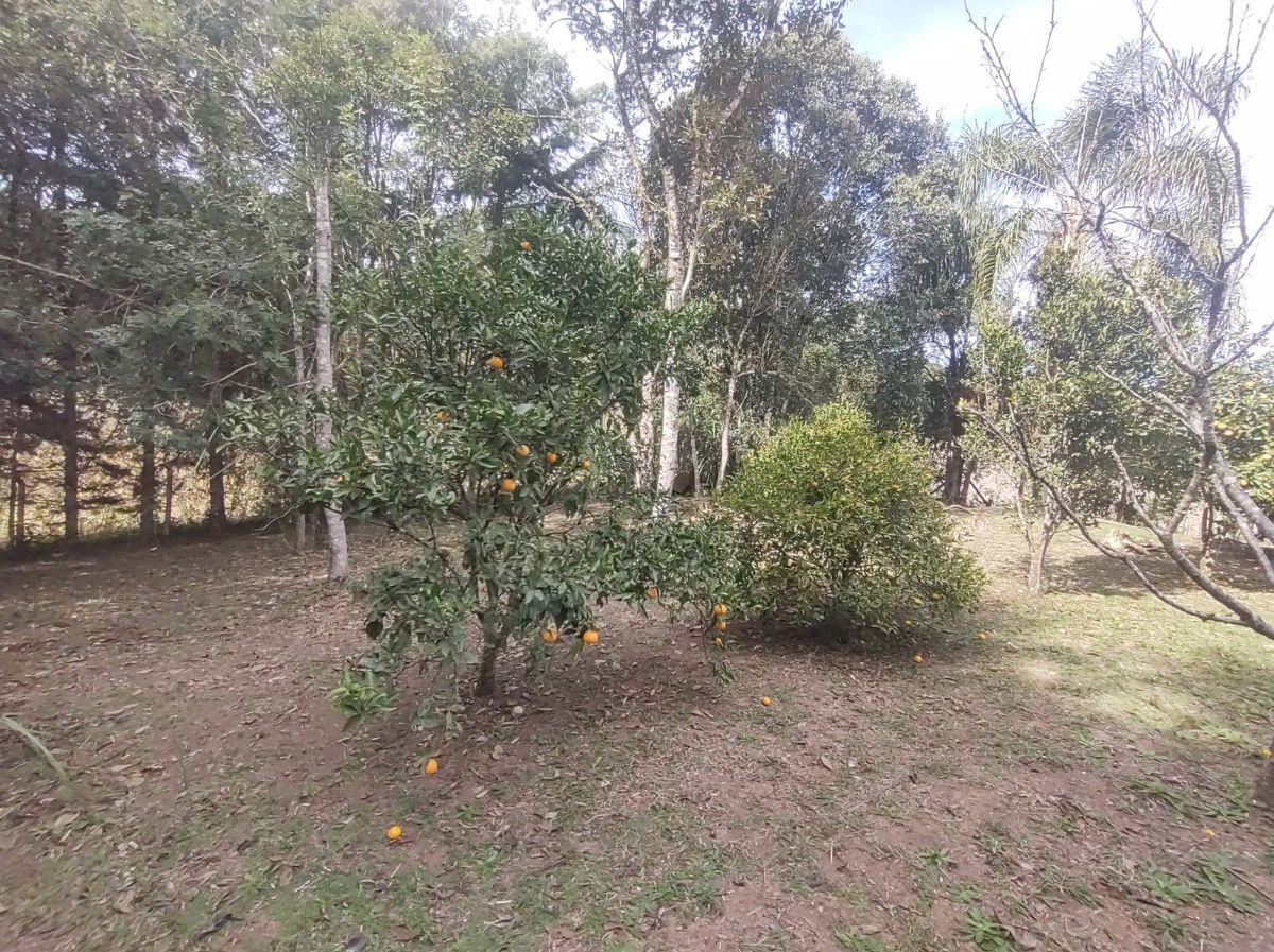 Chácara, 23 m² - Foto 18