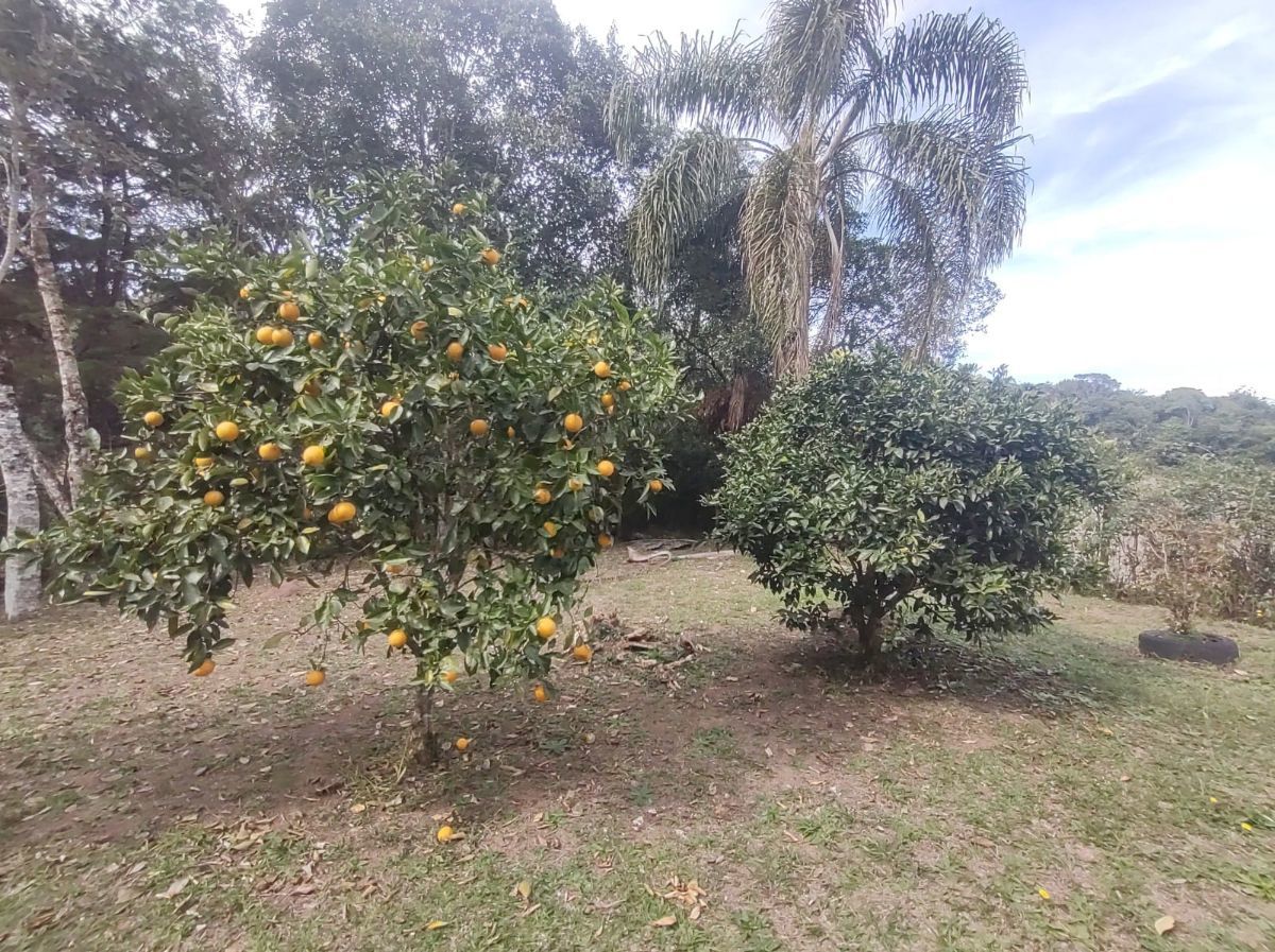 Chácara, 23 m² - Foto 20