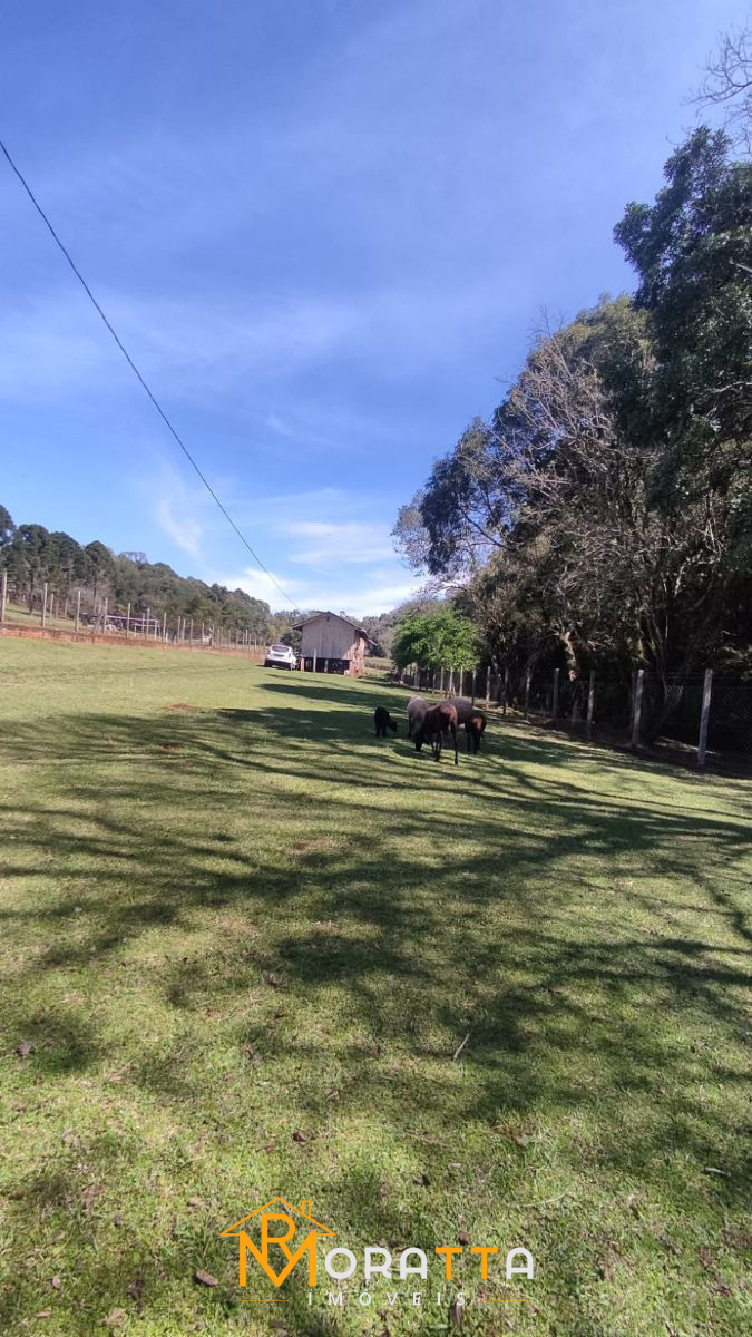 Chácara, 2 hectares - Foto 15