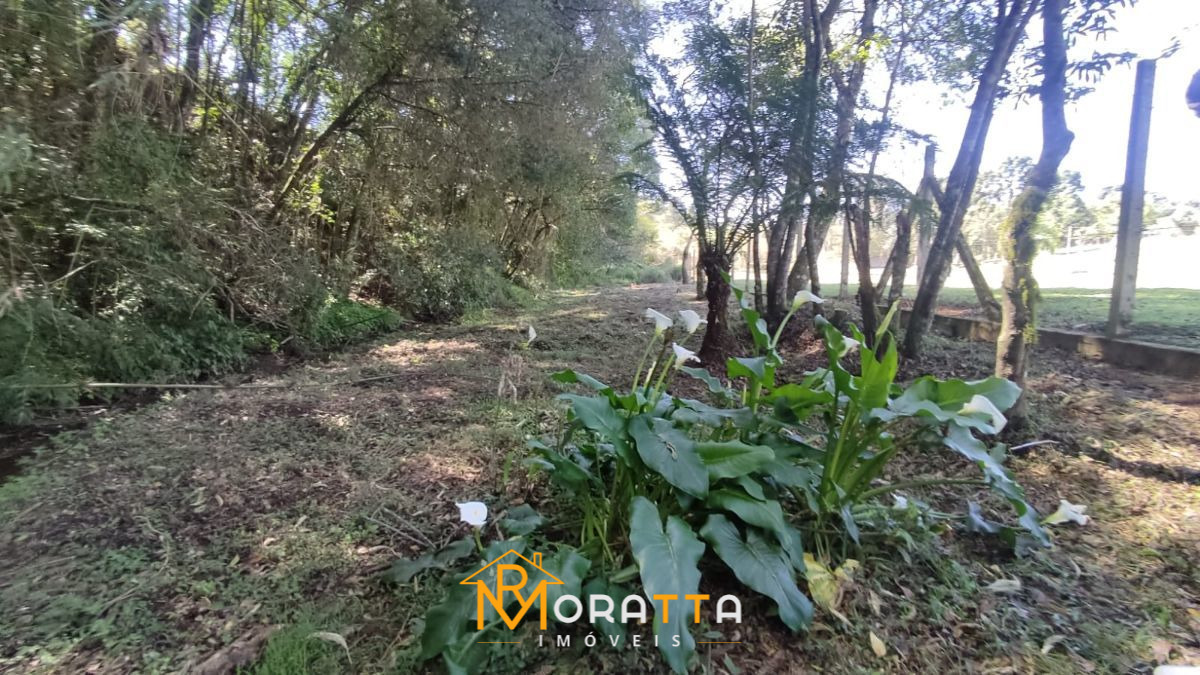Chácara, 2 hectares - Foto 14