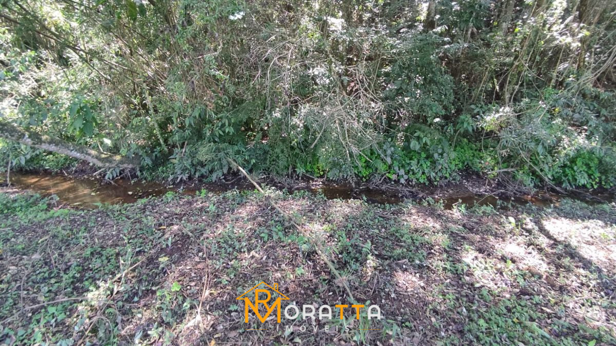 Chácara, 2 hectares - Foto 13