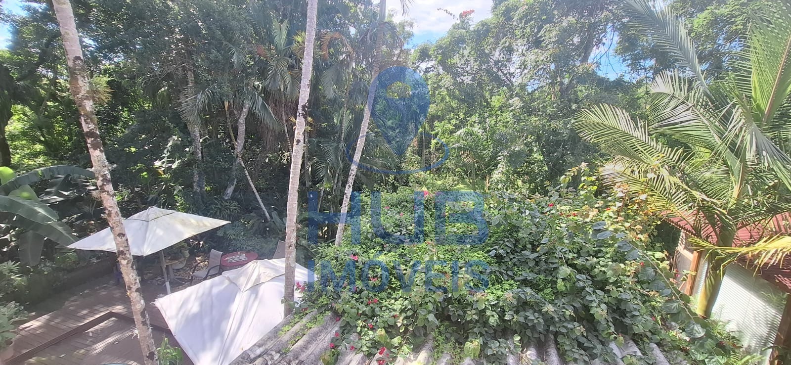 Casa, 4 quartos, 305 m² - Foto 40