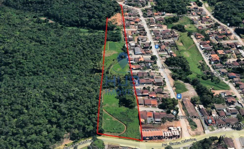 Terreno, 4 hectares - Foto 4