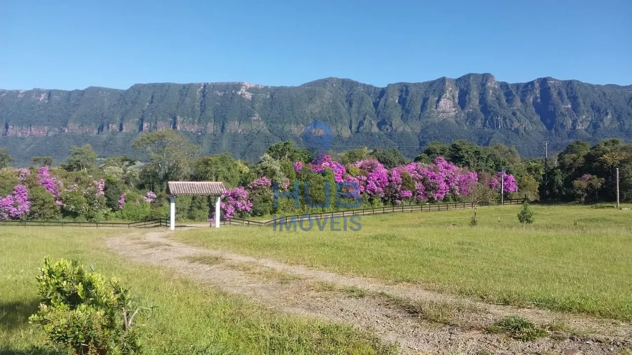 Terreno, 3 hectares - Foto 3