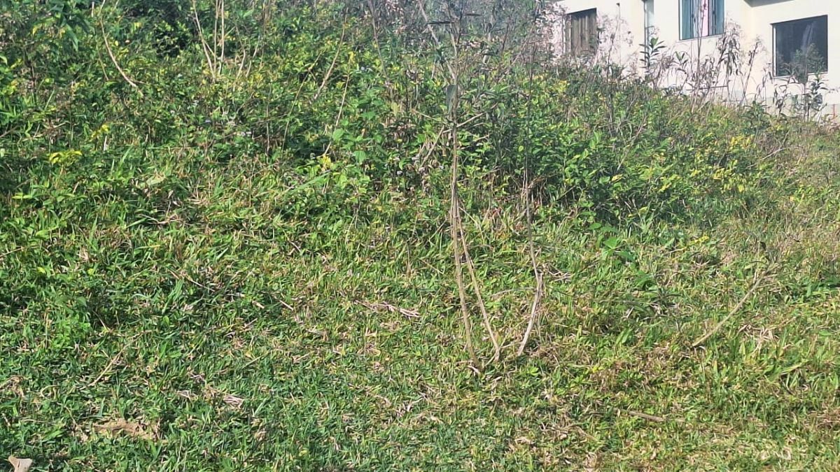 Terreno, 450 m² - Foto 13