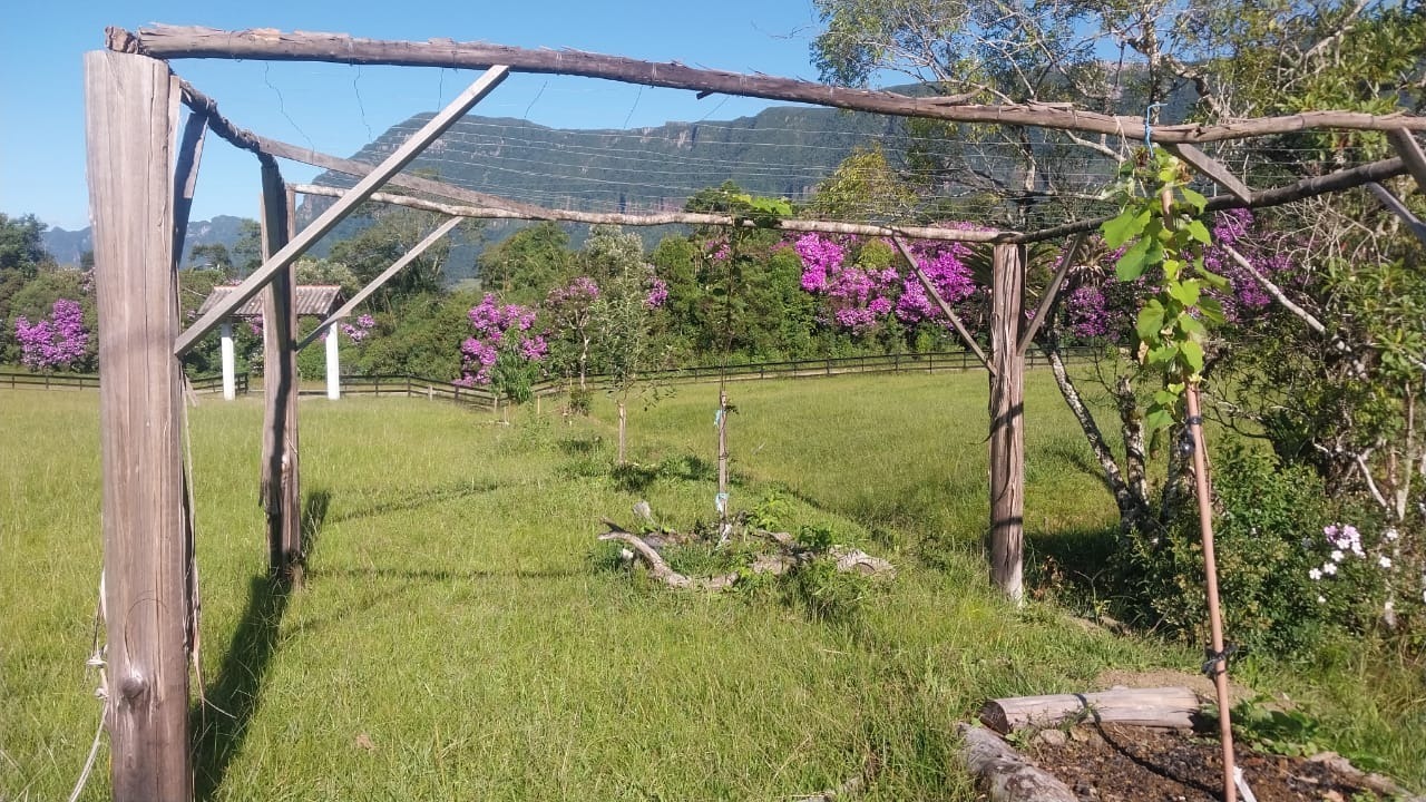 Terreno, 3 hectares - Foto 6