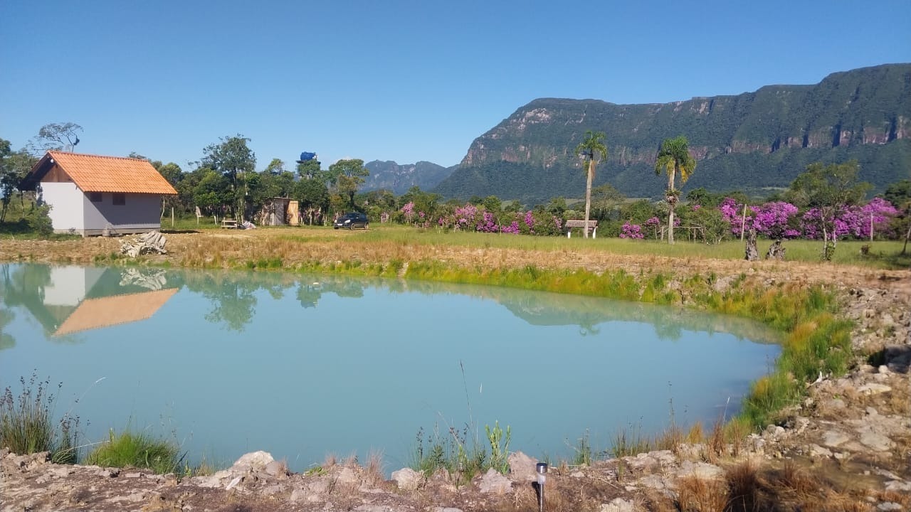 Terreno, 3 hectares - Foto 8