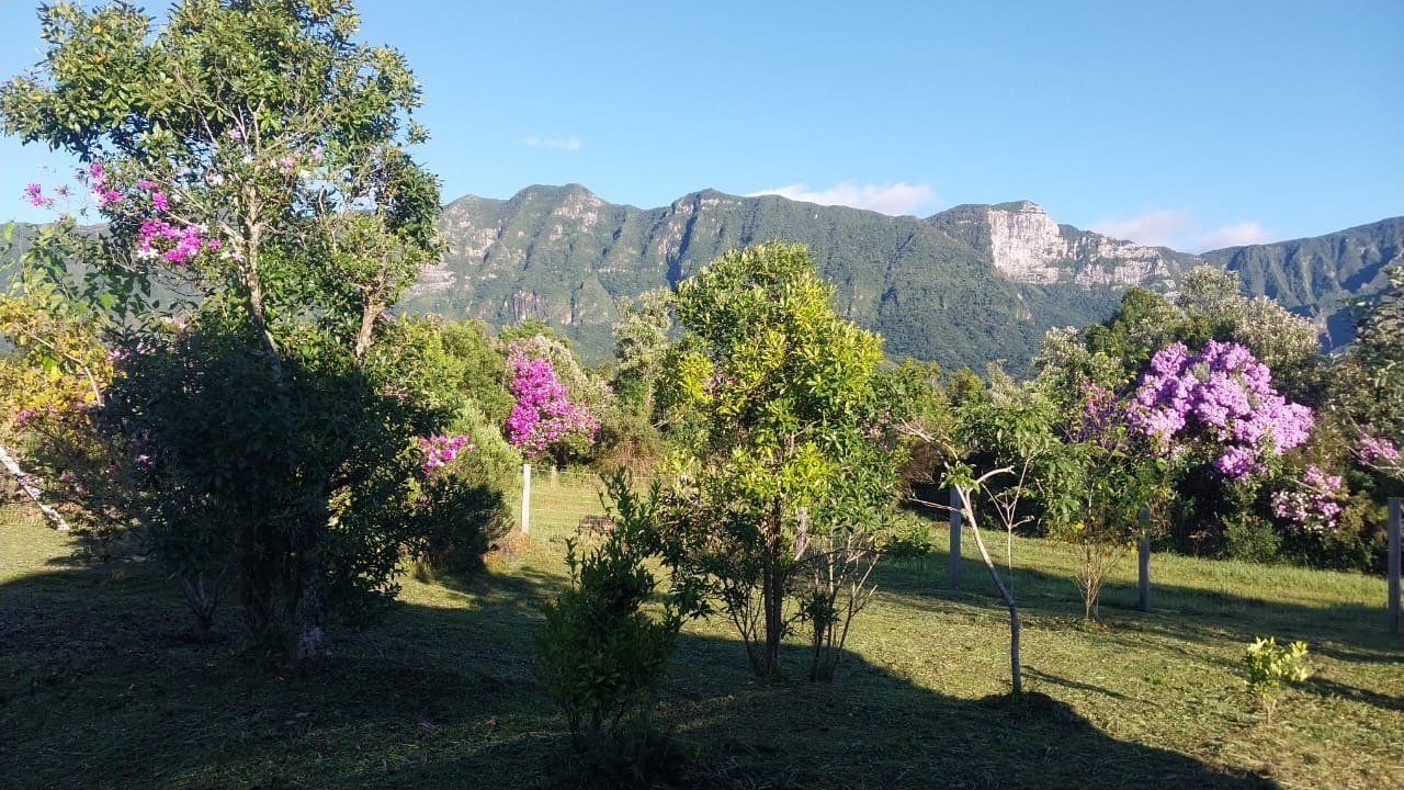 Terreno, 3 hectares - Foto 10