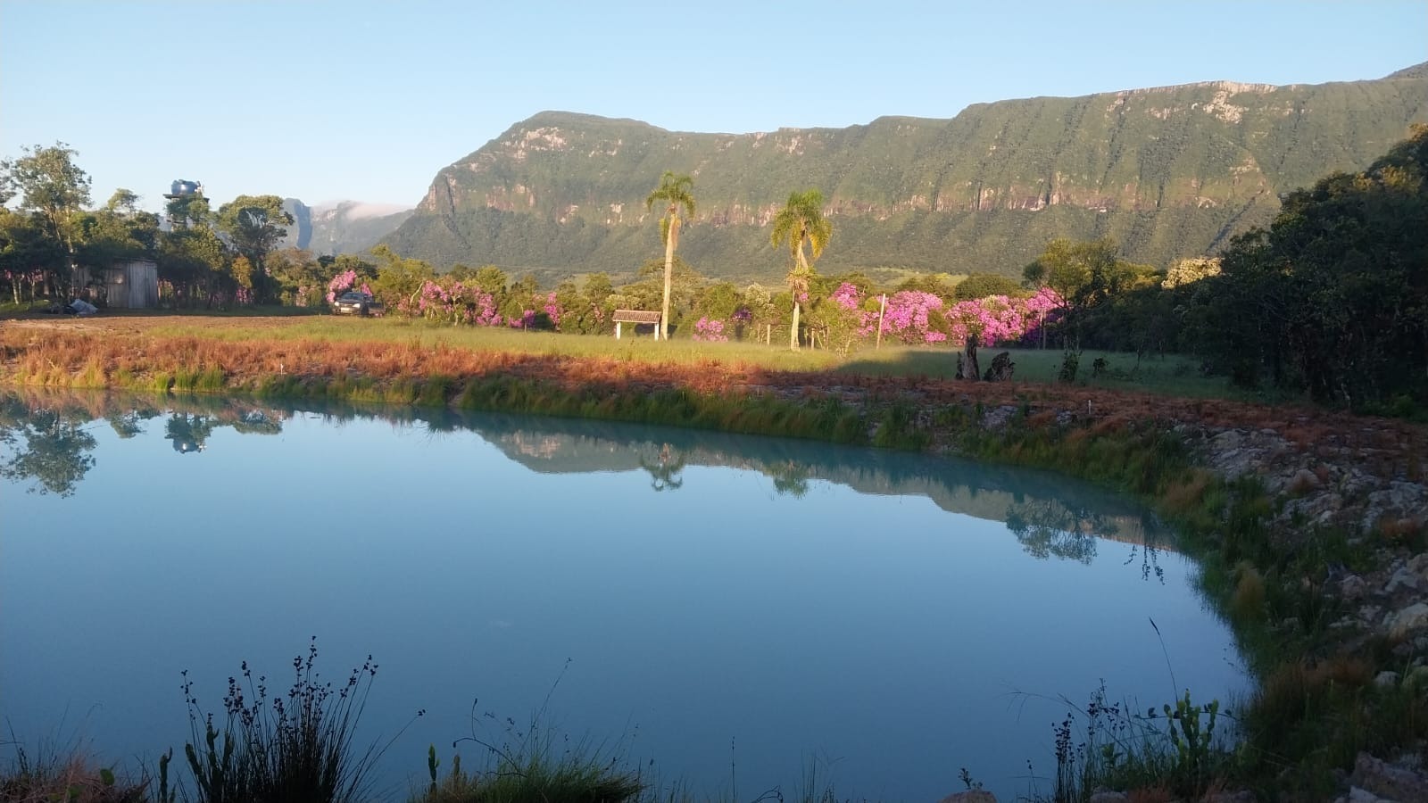 Terreno, 3 hectares - Foto 11