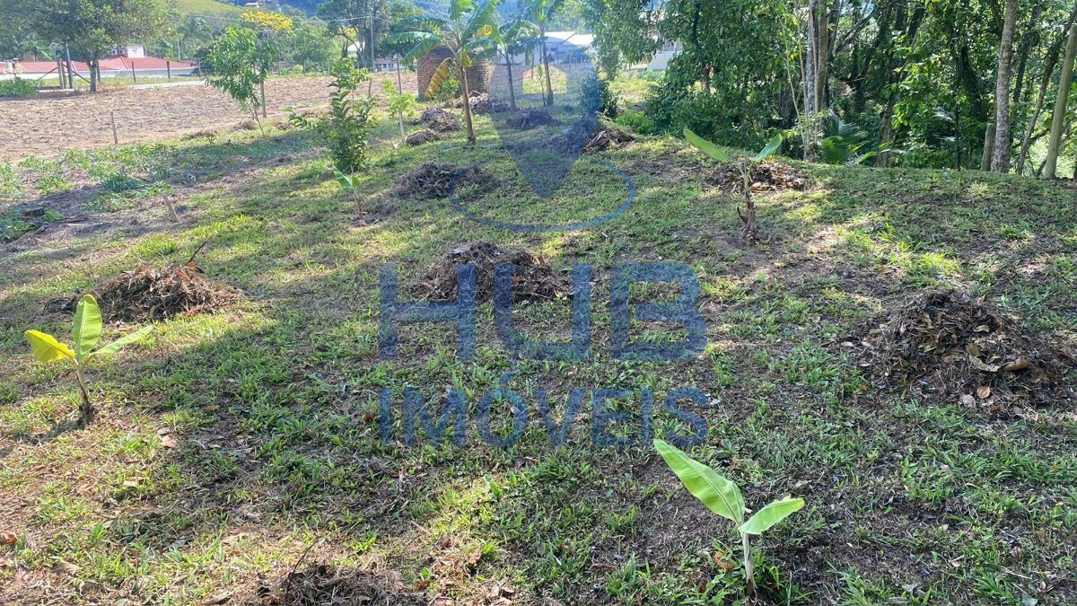 Fazenda, 2536 m² - Foto 11