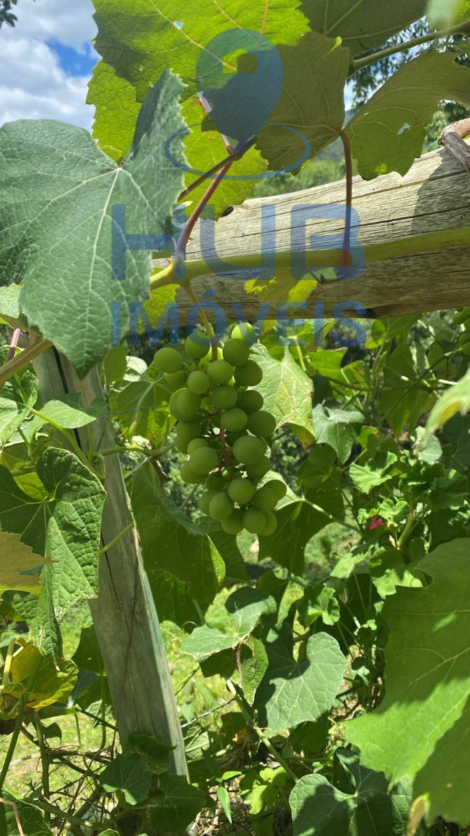 Fazenda, 2536 m² - Foto 13