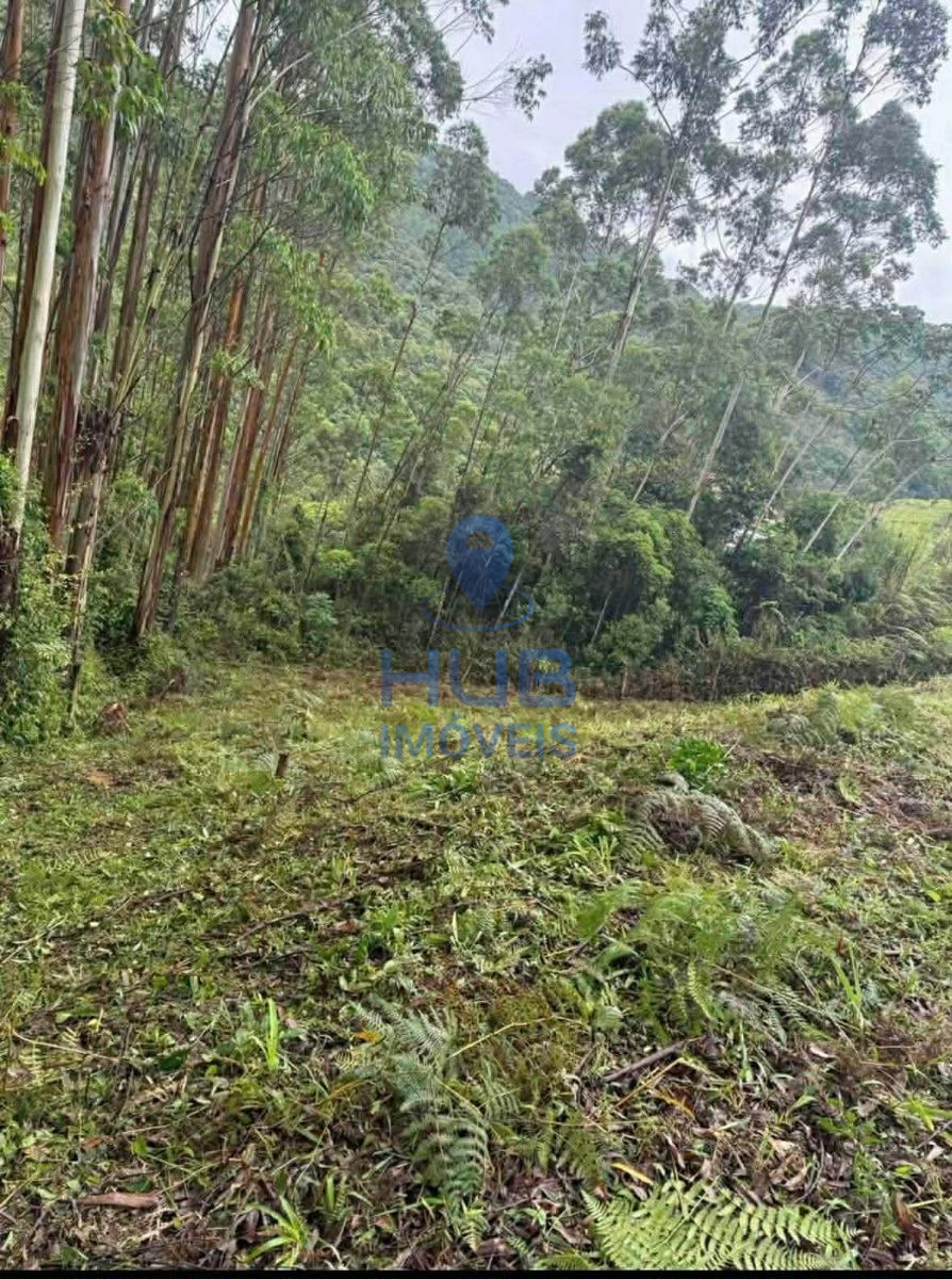 Fazenda, 4000 m² - Foto 8