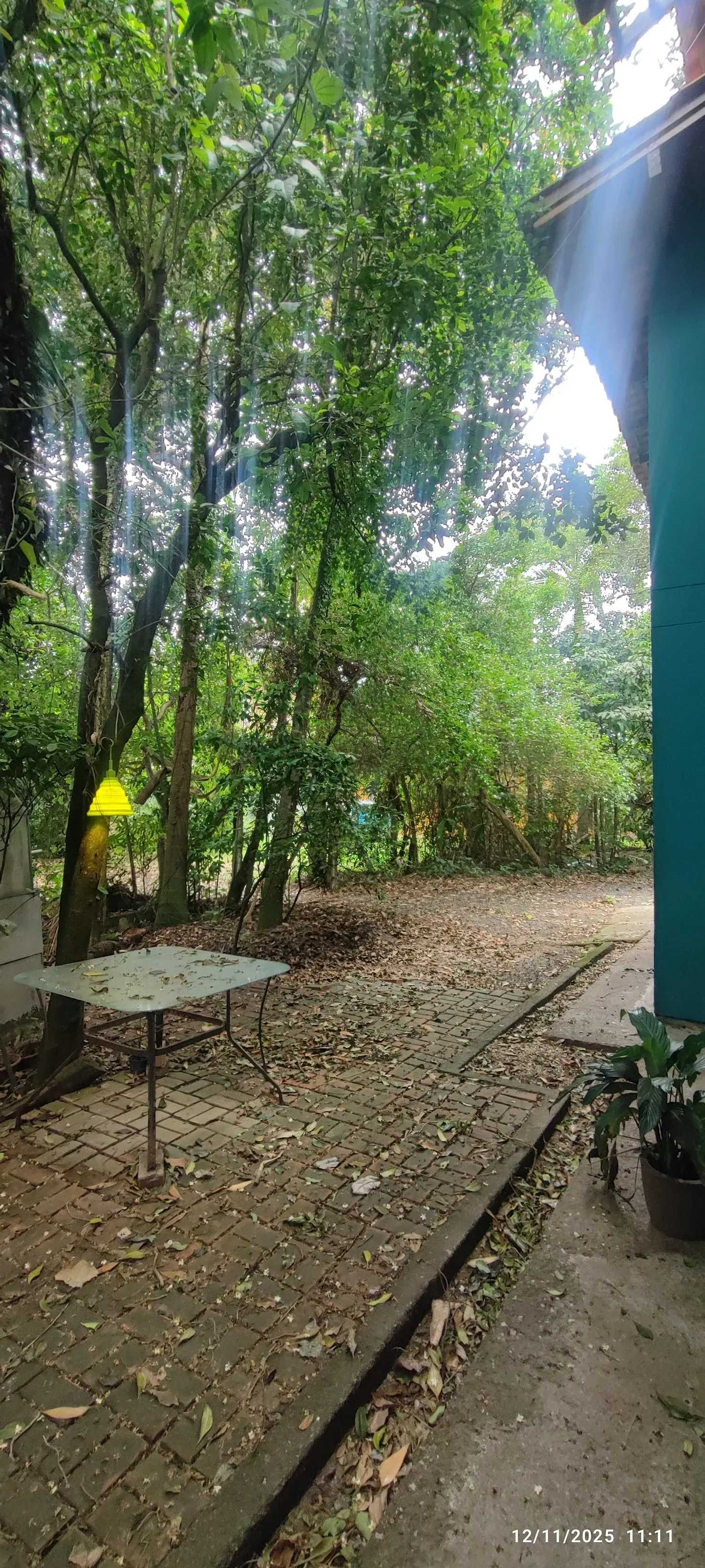 Terreno, 2000 m² - Foto 14