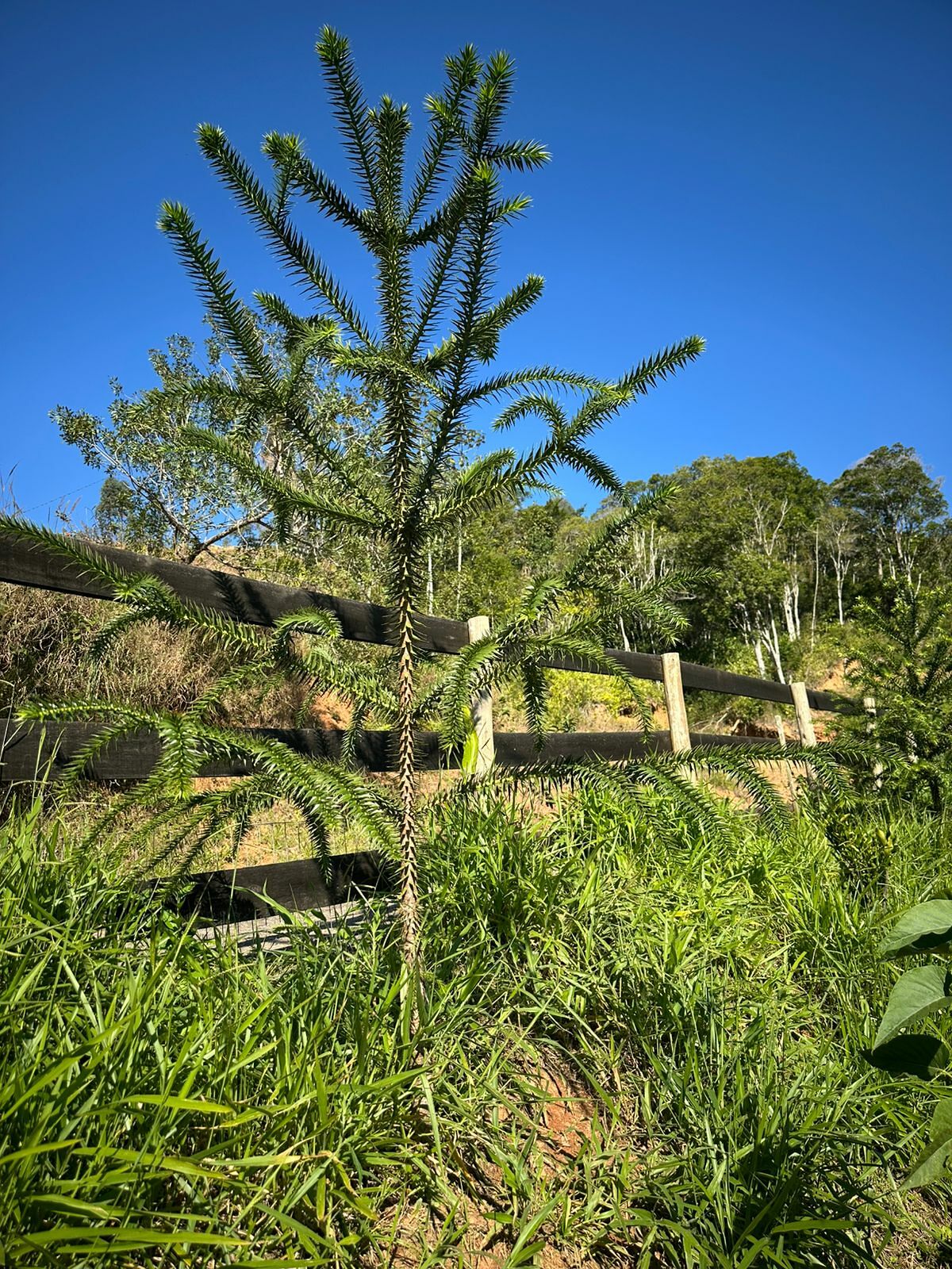 Fazenda, 48 m² - Foto 10