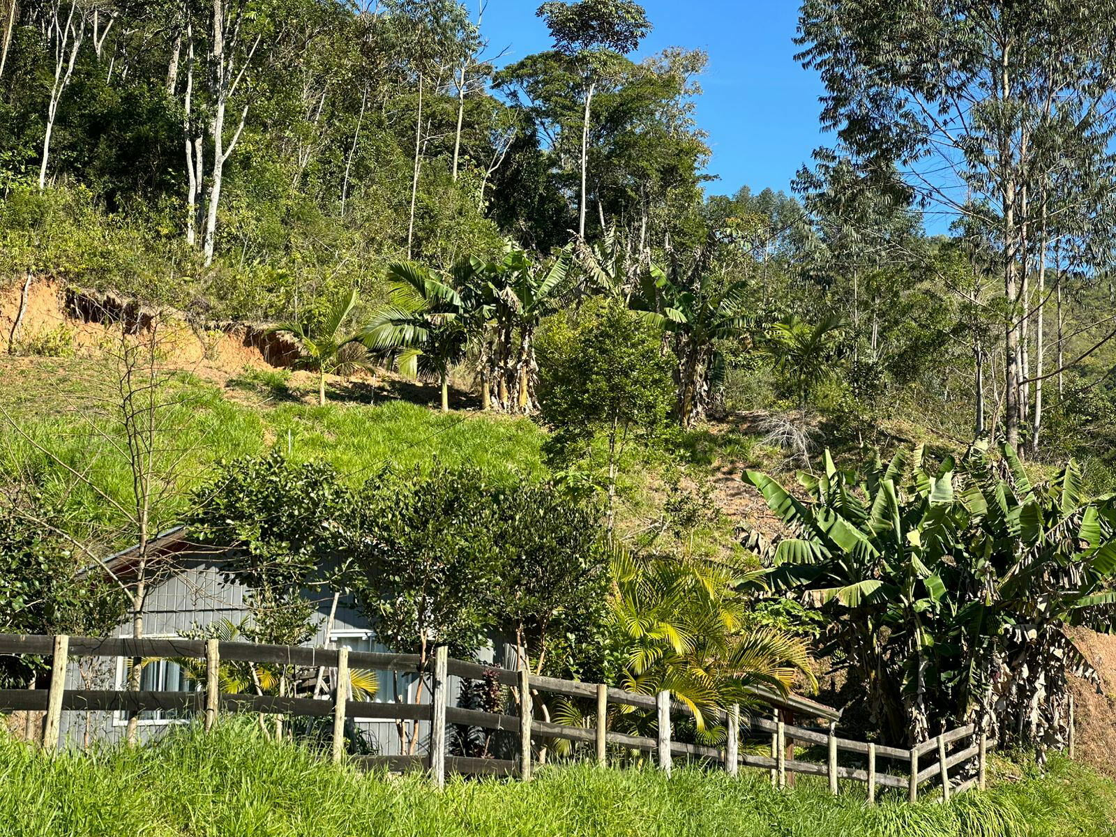 Fazenda, 48 m² - Foto 12