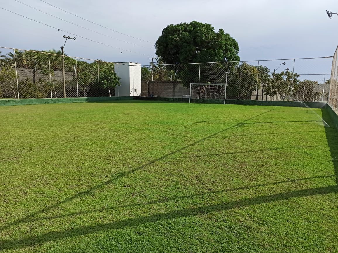 Terreno, 250 m² - Foto 14
