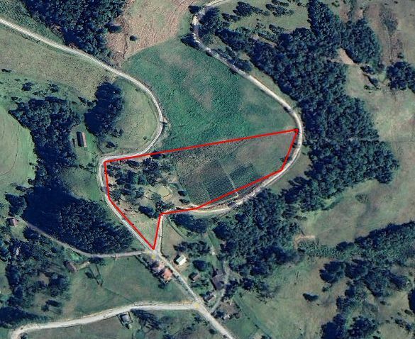 Chácara, 2 hectares - Foto 1