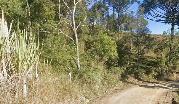 Chácara, 2 hectares - Foto 2