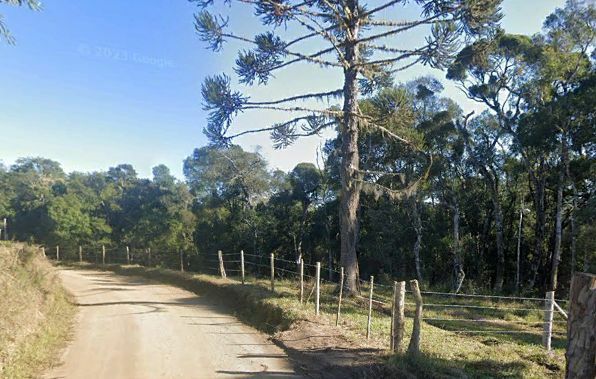 Chácara, 2 hectares - Foto 2