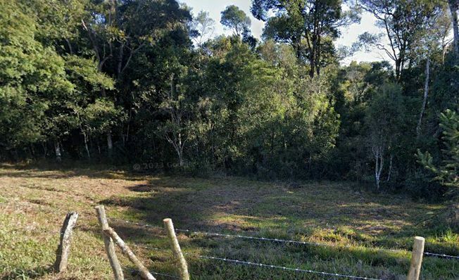 Chácara, 2 hectares - Foto 6