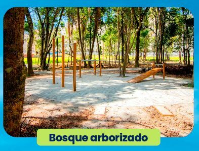 Terreno - Foto 6