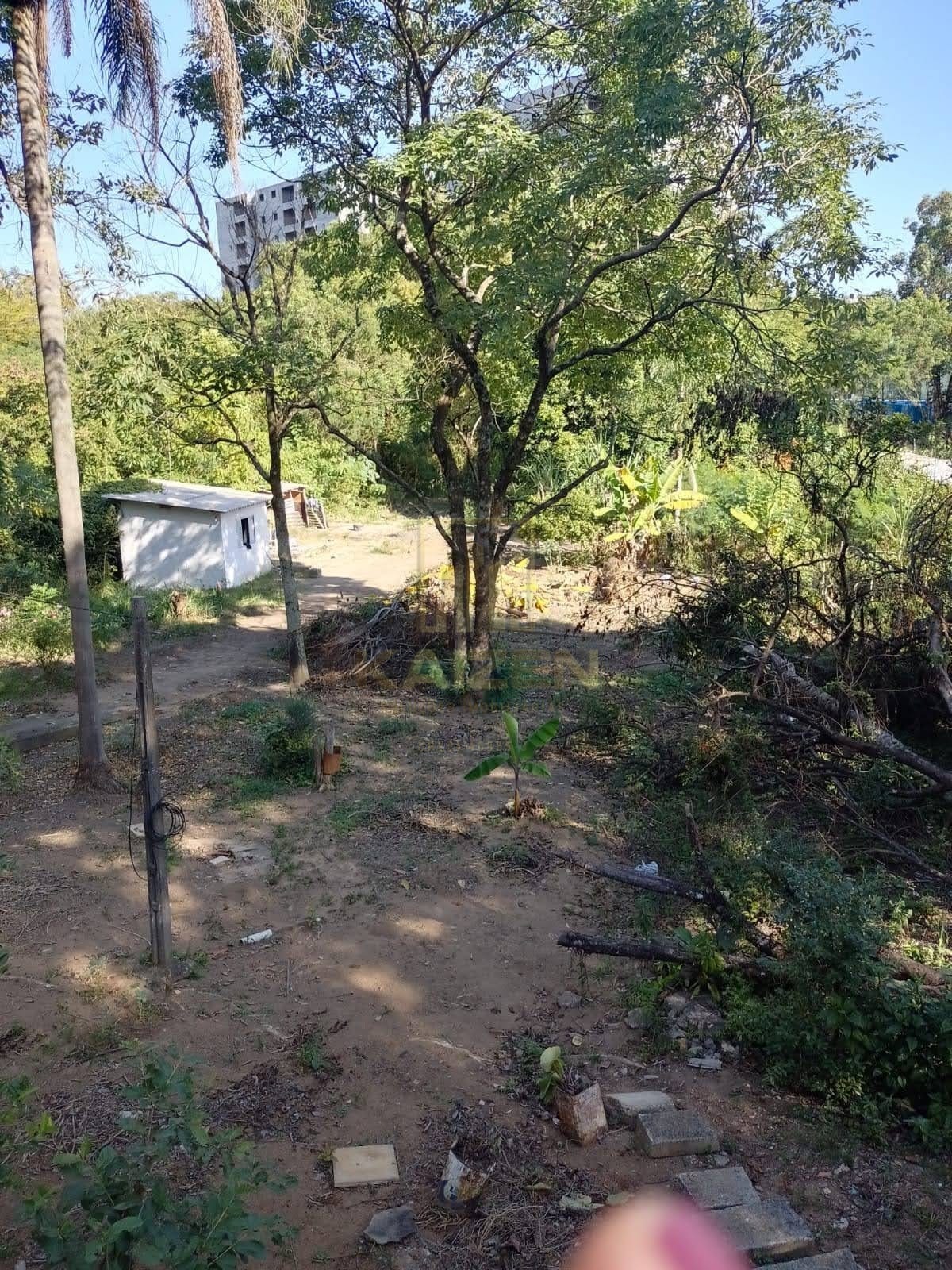 Terreno, 2500 m² - Foto 6