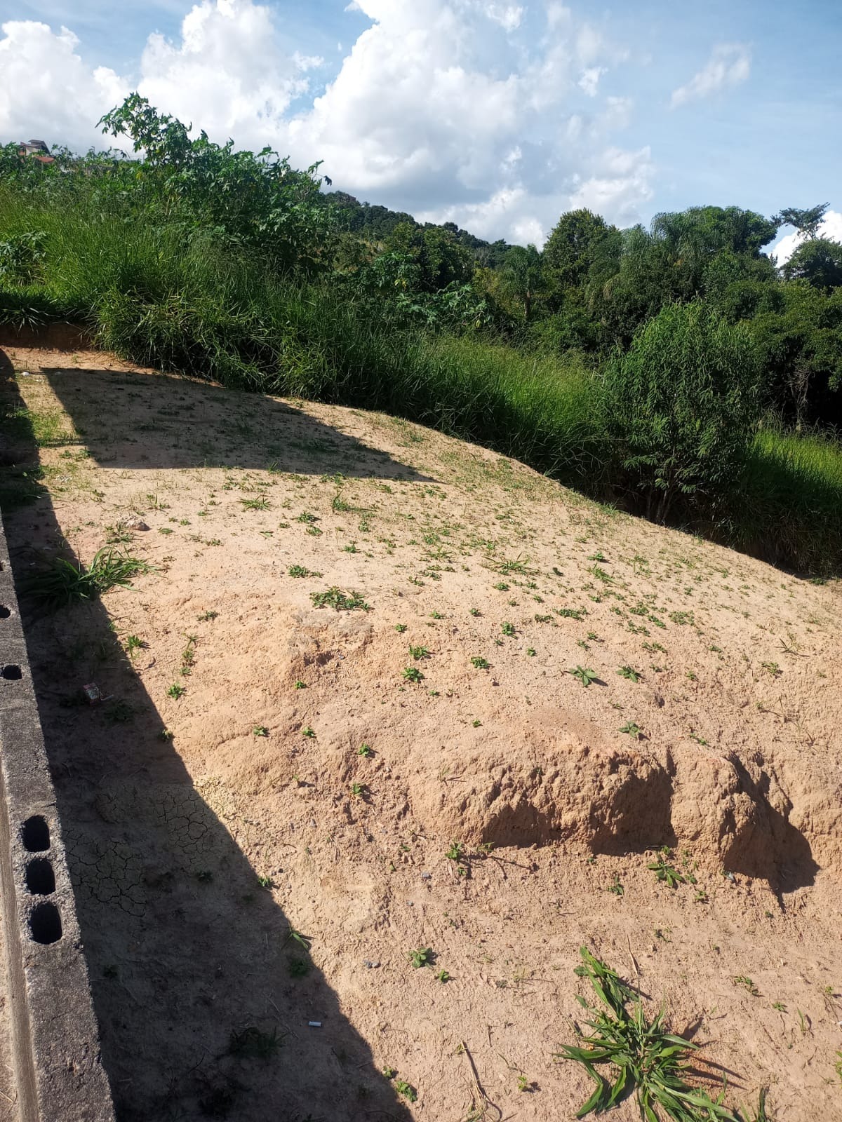 Terreno, 710 m² - Foto 5