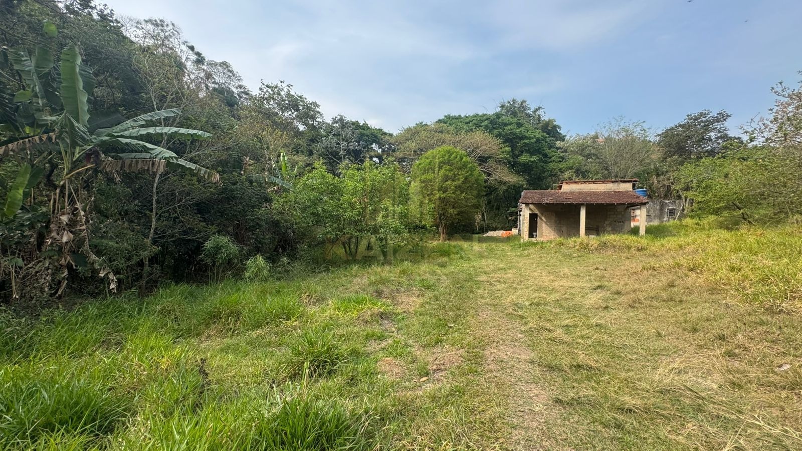 Chácara, 3 quartos, 3236 m² - Foto 2