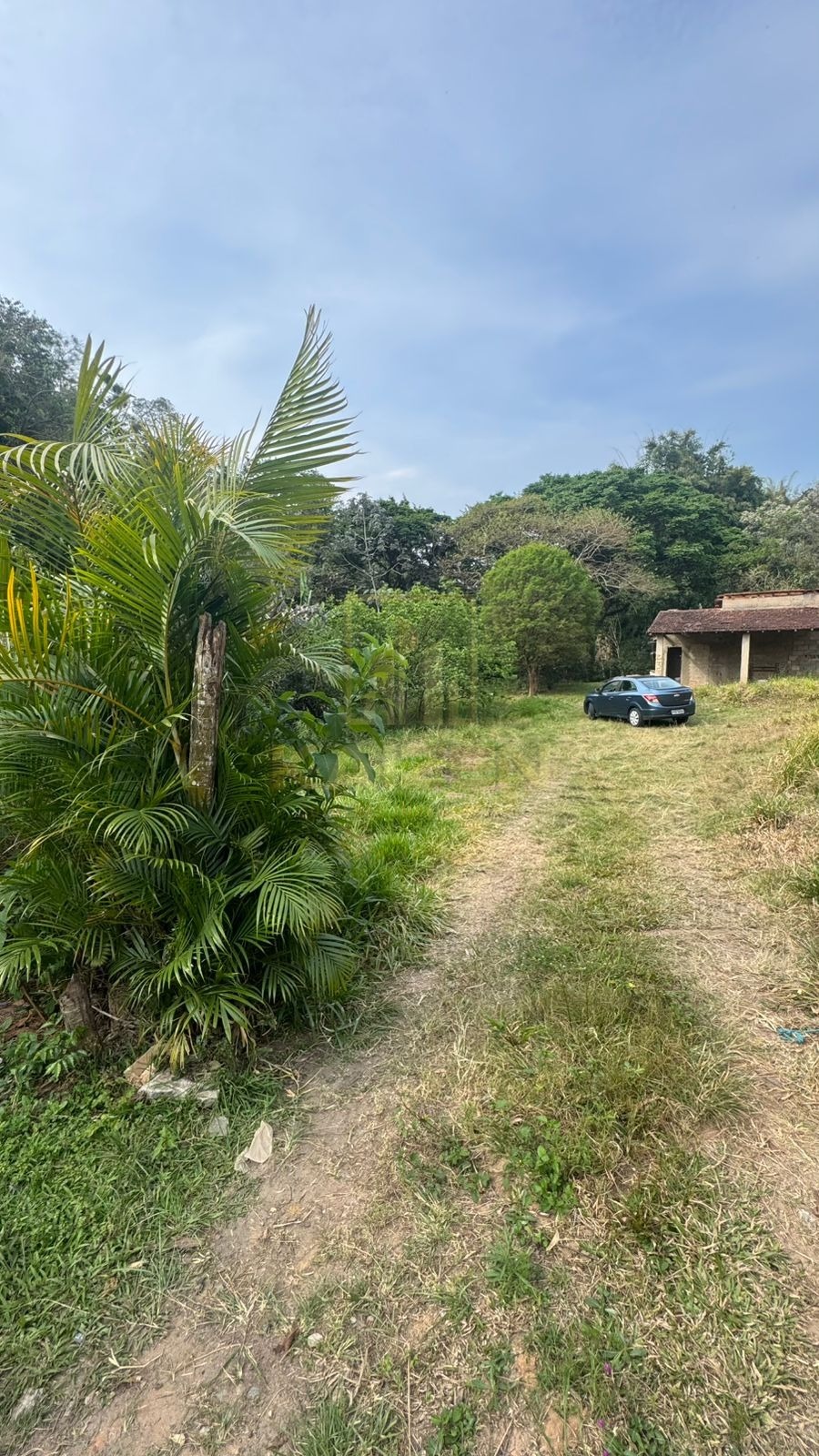 Chácara, 3 quartos, 3236 m² - Foto 3