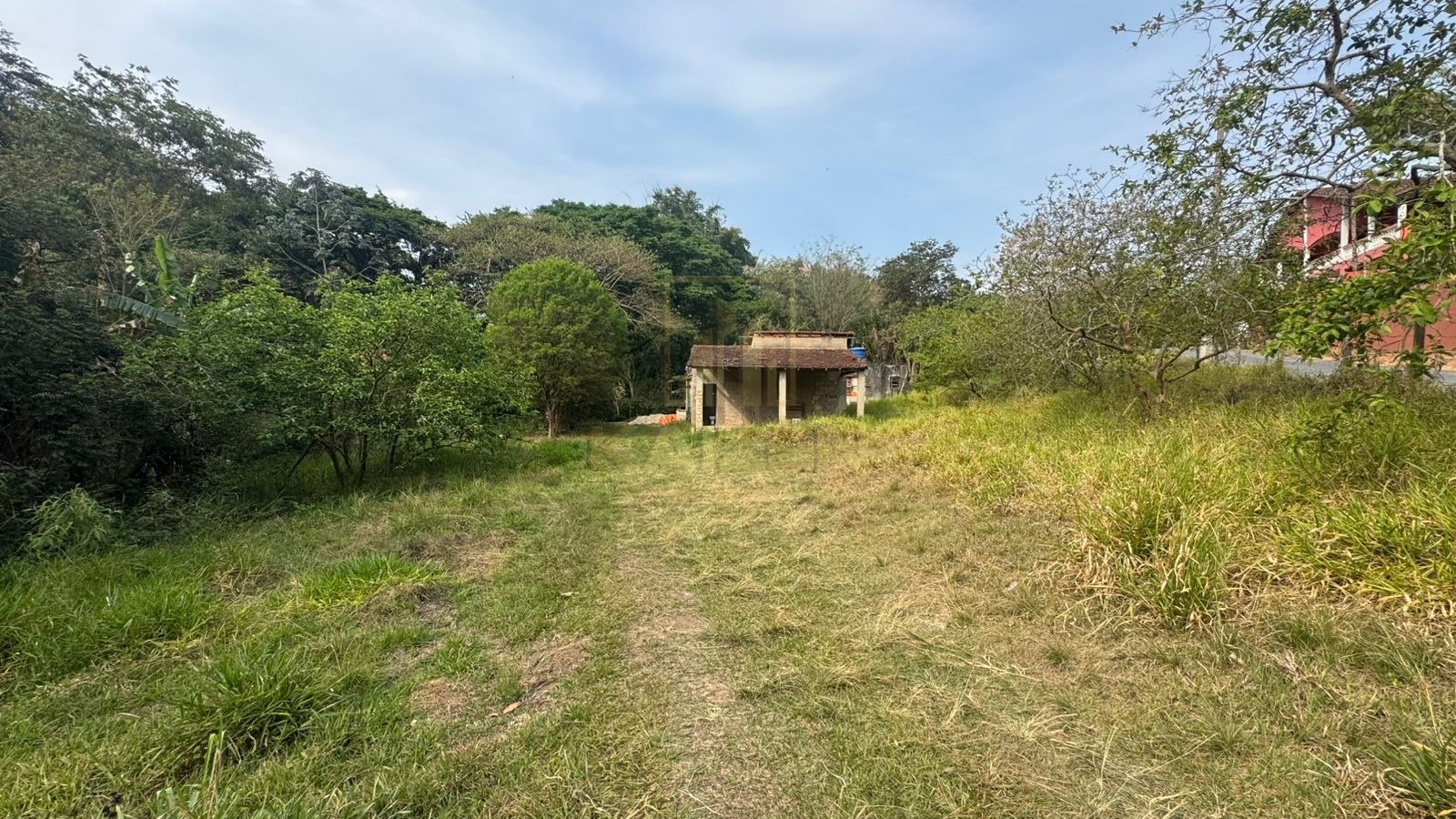 Chácara, 3 quartos, 3236 m² - Foto 4