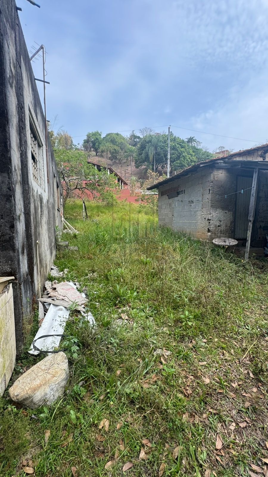 Chácara, 3 quartos, 3236 m² - Foto 10