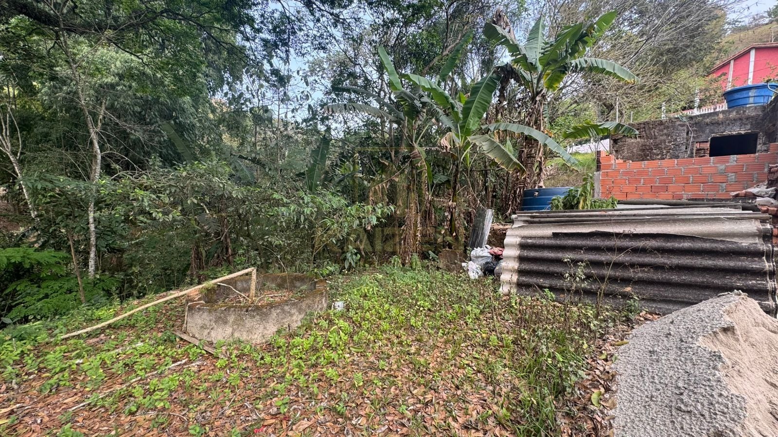 Chácara, 3 quartos, 3236 m² - Foto 12