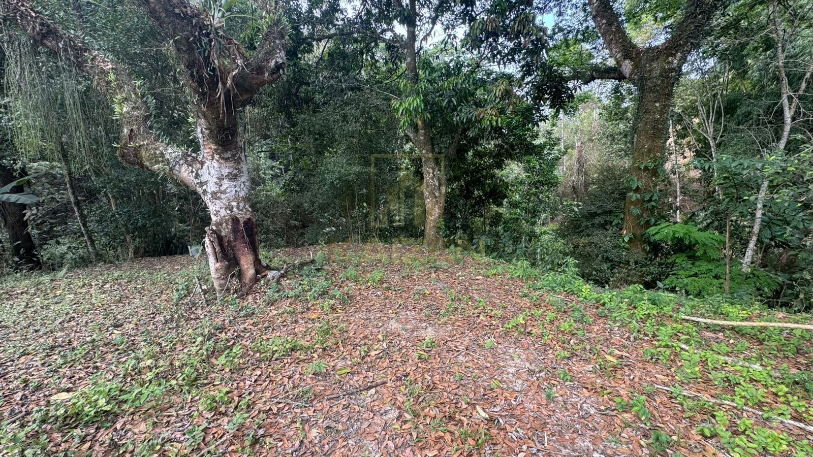 Chácara, 3 quartos, 3236 m² - Foto 14
