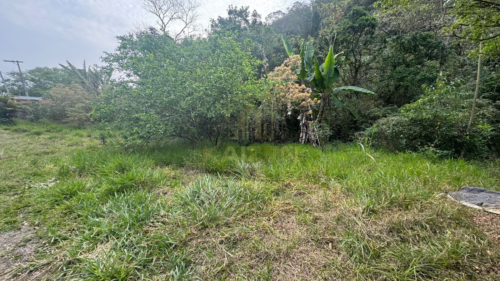 Chácara, 3 quartos, 3236 m² - Foto 16