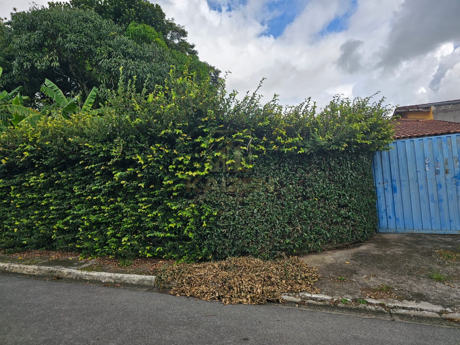 Casa, 3 quartos, 355 m² - Foto 35