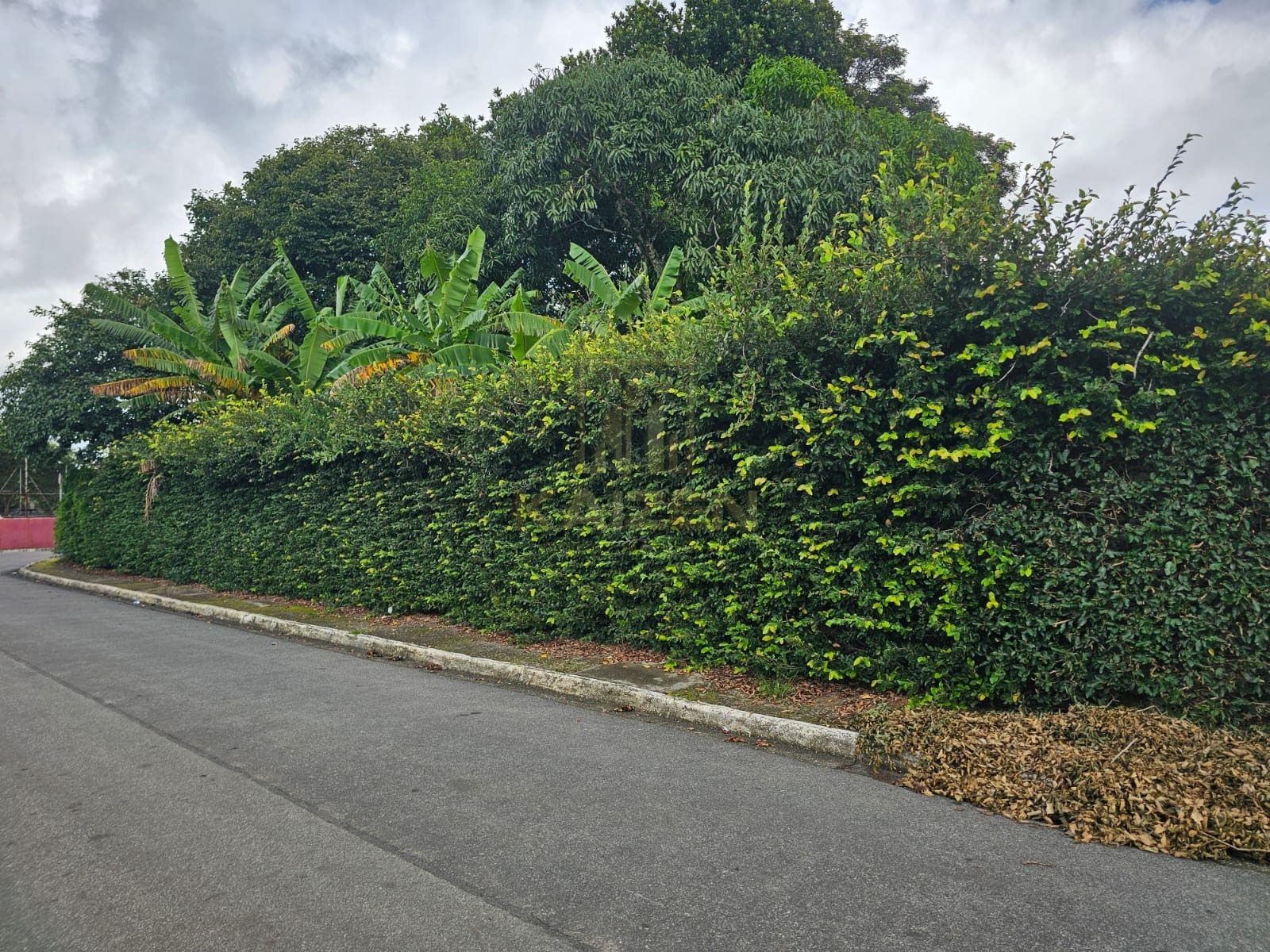 Casa, 3 quartos, 355 m² - Foto 42