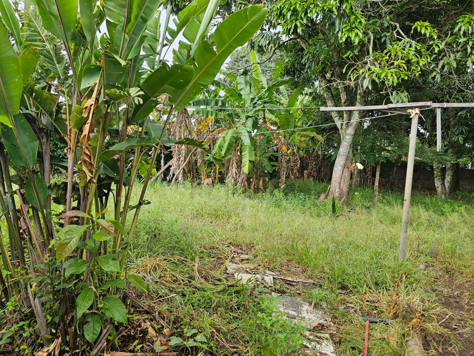 Casa, 3 quartos, 355 m² - Foto 43