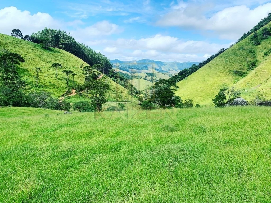 Fazenda, 2 hectares - Foto 3