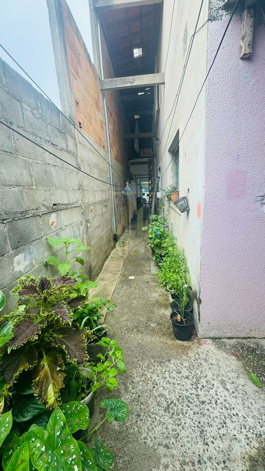 Casa, 3 quartos, 100 m² - Foto 18