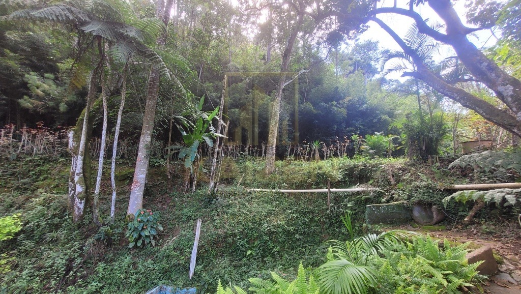 Sítio, 4 quartos, 6 hectares - Foto 4