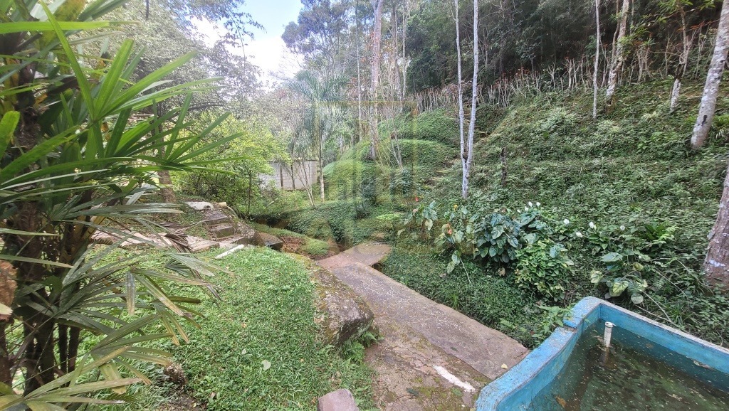 Sítio, 4 quartos, 6 hectares - Foto 6