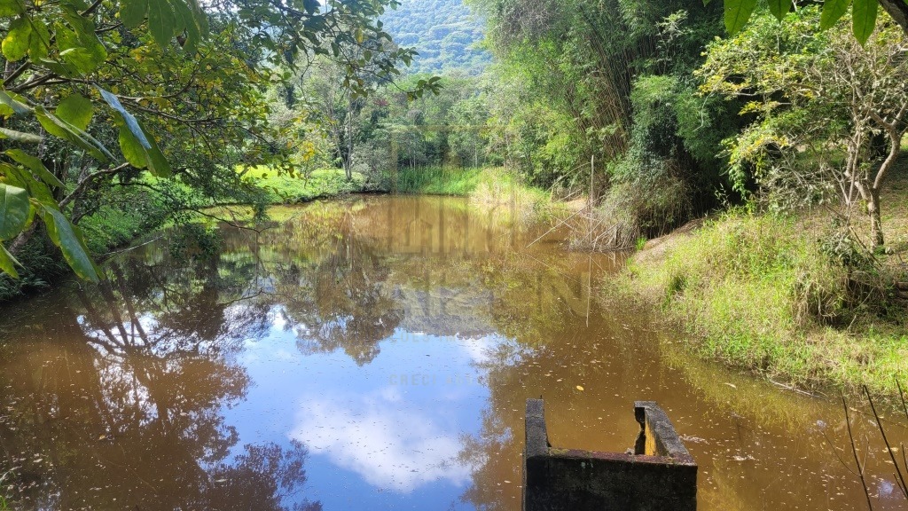 Sítio, 4 quartos, 6 hectares - Foto 10
