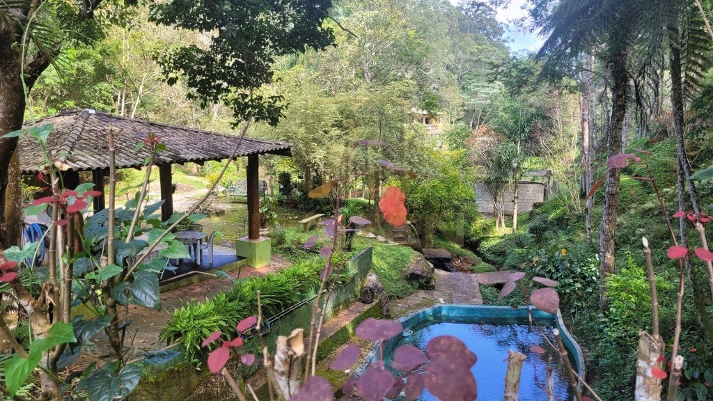 Sítio, 4 quartos, 6 hectares - Foto 11