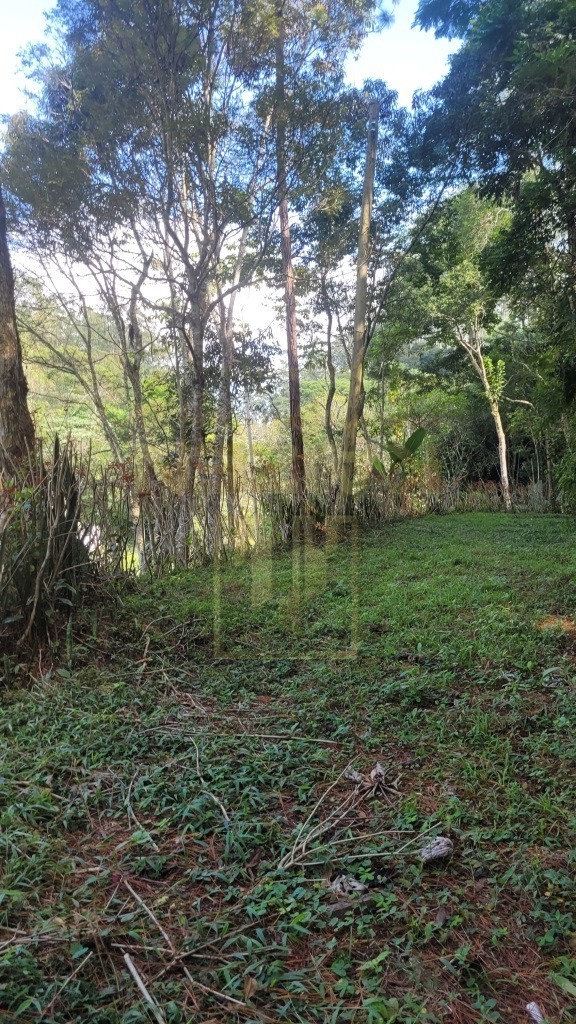 Sítio, 4 quartos, 6 hectares - Foto 14