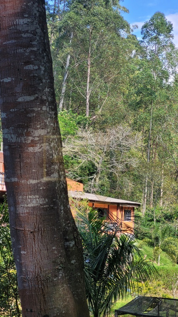 Sítio, 4 quartos, 6 hectares - Foto 15