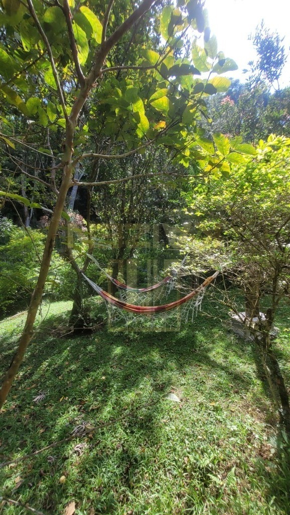 Sítio, 4 quartos, 6 hectares - Foto 25