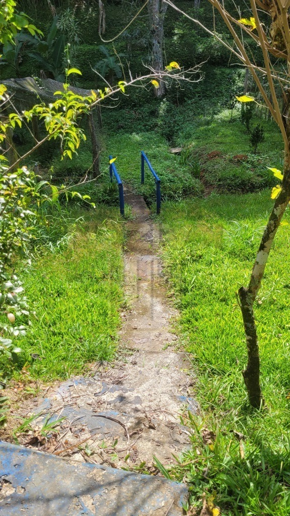 Sítio, 4 quartos, 6 hectares - Foto 26
