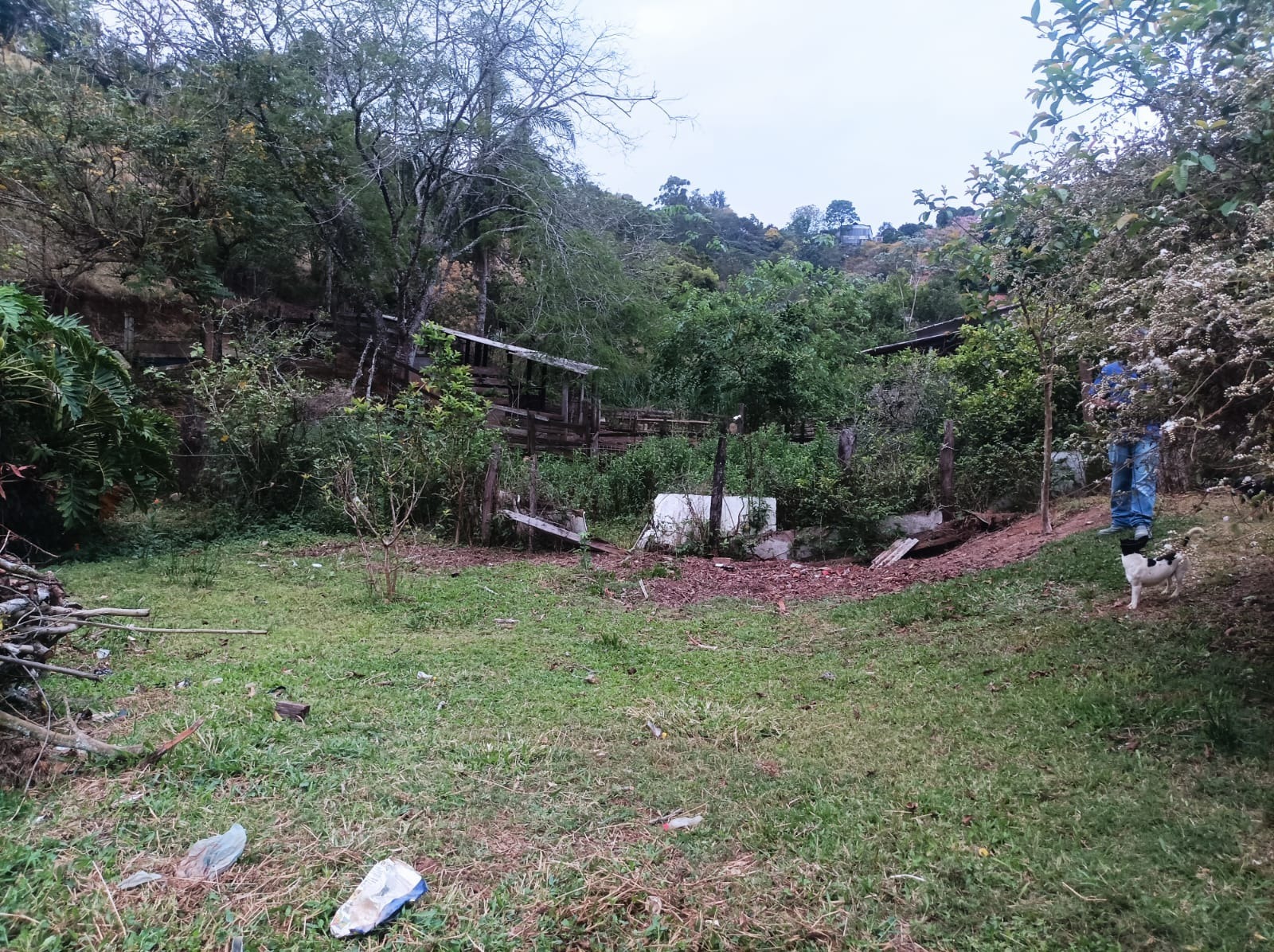 Casa, 3 quartos, 80 m² - Foto 4