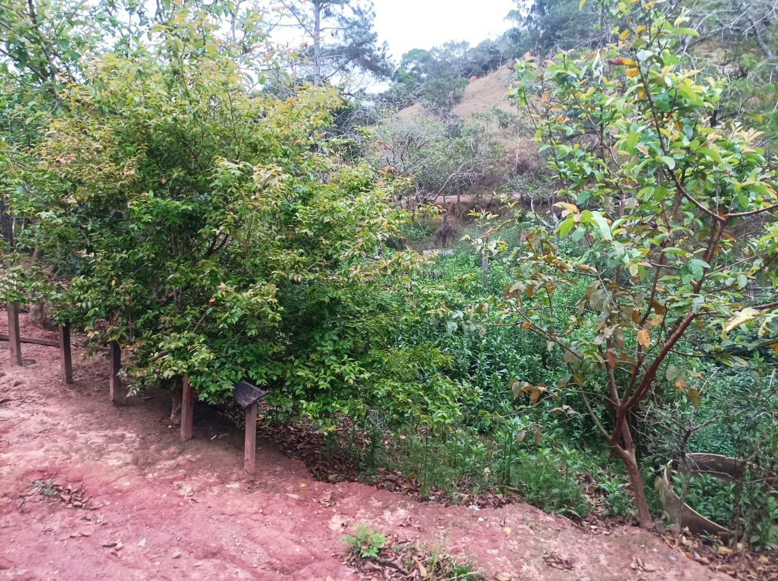 Casa, 3 quartos, 80 m² - Foto 6