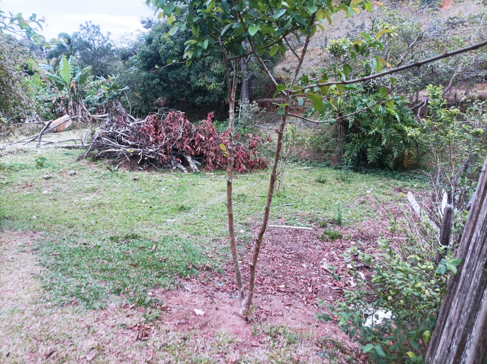Casa, 3 quartos, 80 m² - Foto 8